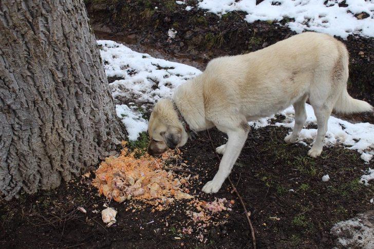 Doğadaki canlara destek oldular G3