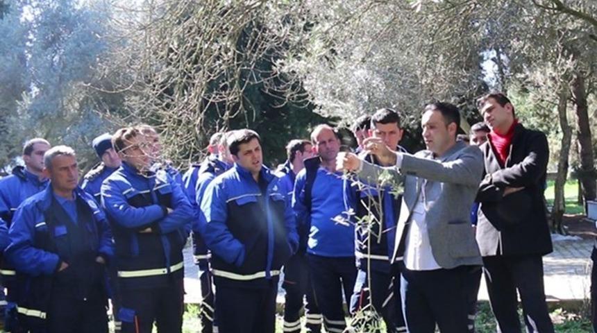 B&uuml;y&uuml;kşehir&rsquo;den &lsquo;Zeytin Budama&rsquo; eğitimİ