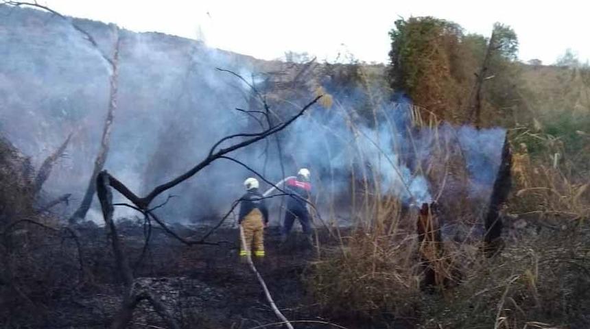 Erdek’te arazi yangını