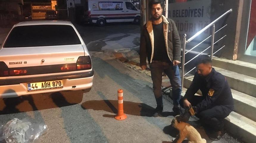 Duyarlı vatandaş yaralı k&ouml;peği belediyeye teslim etti