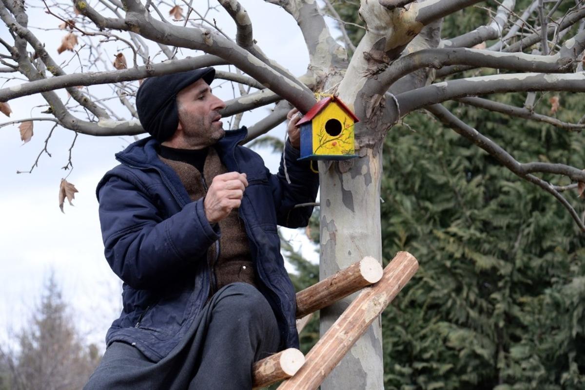 Altınk&ouml;y&rsquo;de kuşlar "ev"lendi