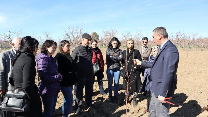 Tarım danışmanlarına budama eğitimi G2