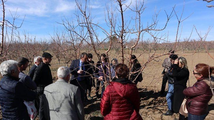 Tarım danışmanlarına budama eğitimi G3