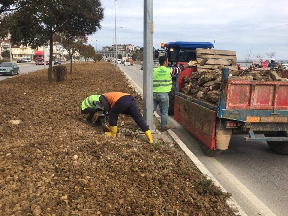 Ordu&rsquo;da bahar hazırlığı