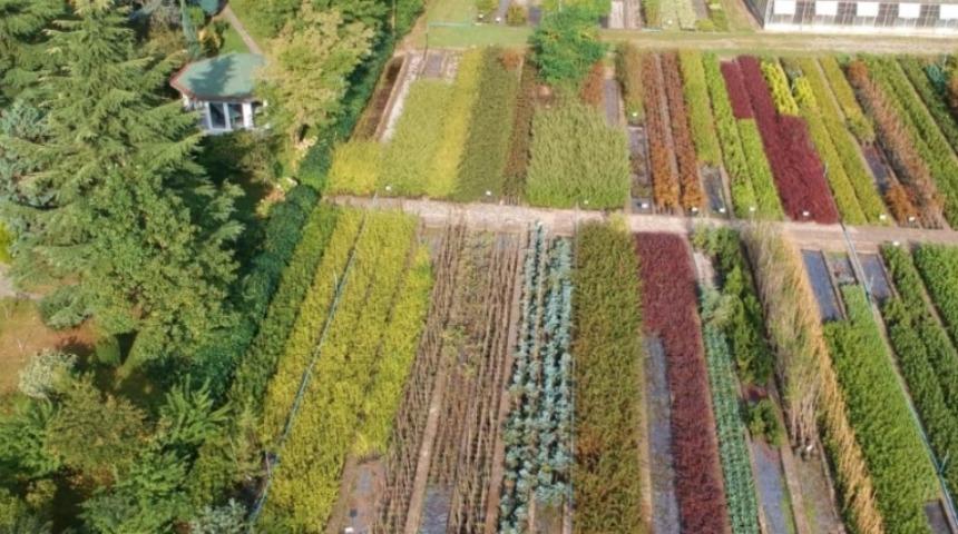 Ordu&rsquo;da 16 yılda 22 milyon fidan &uuml;retildi