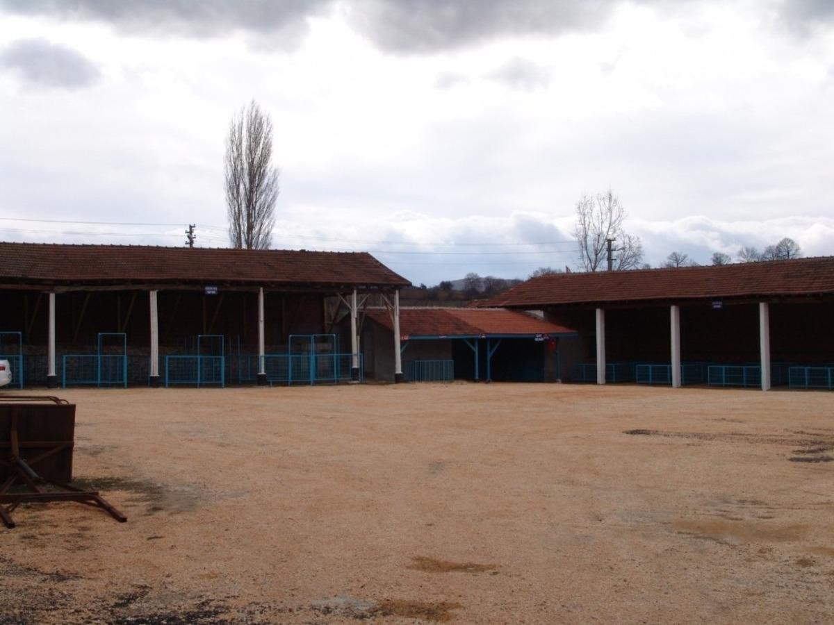 Pazaryeri&rsquo;nde hayvan pazarı yeniledi