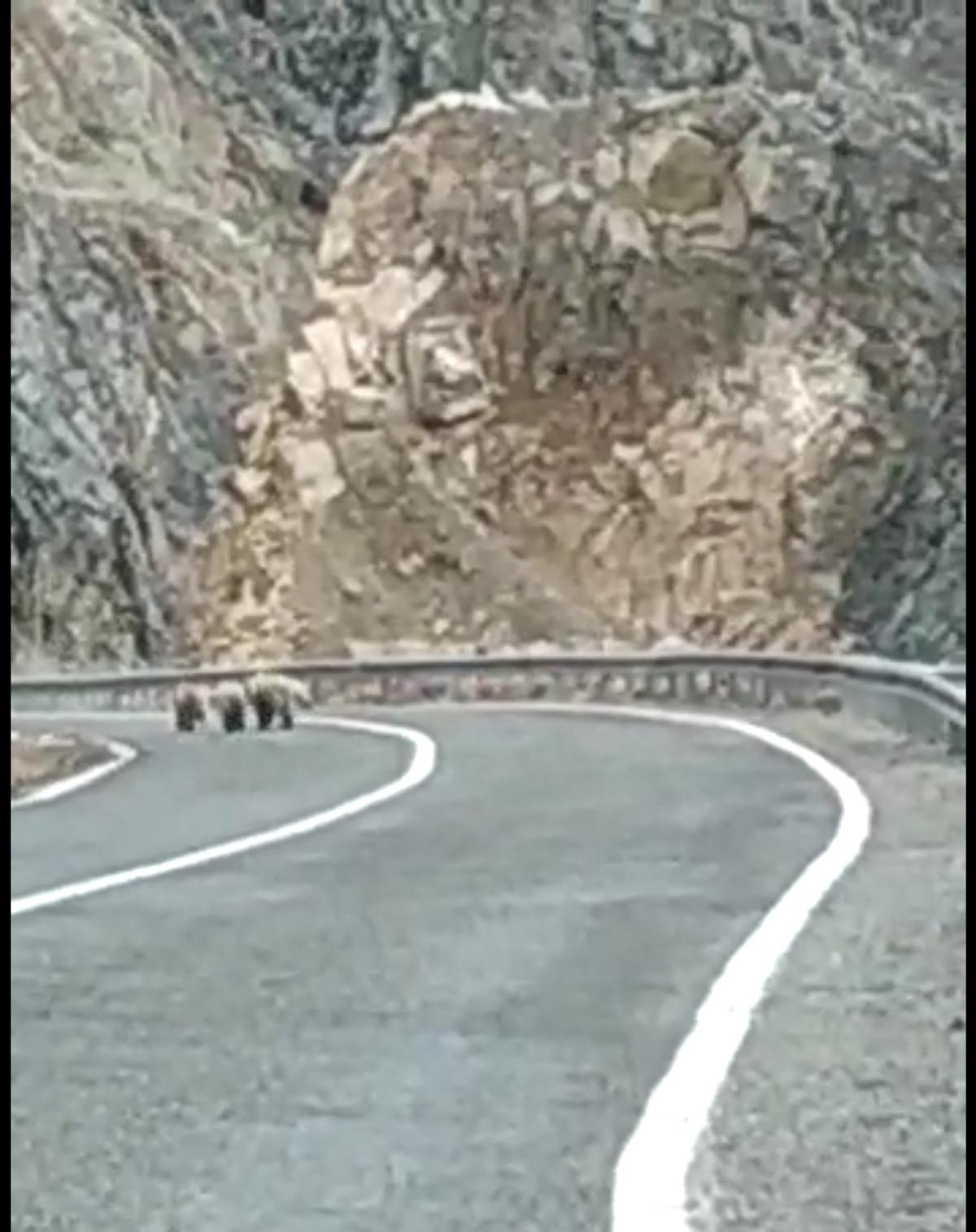 İl&ccedil;e merkezinden 4 km uzakta! Karayolunda şaşırtan g&ouml;r&uuml;nt&uuml;