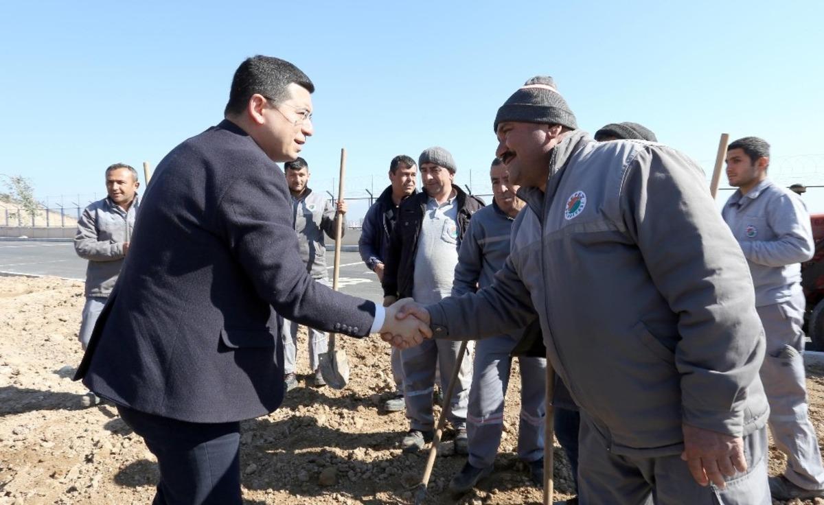 Alparslan T&uuml;rkeş Bulvarı&rsquo;na 81 il i&ccedil;in zeytin ağacı