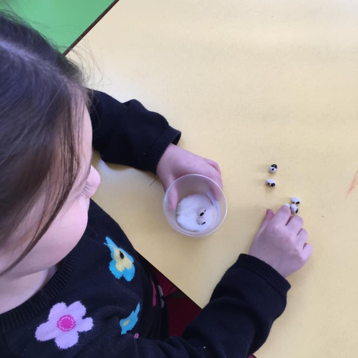 Bitkilerin yaşam d&ouml;ng&uuml;s&uuml;n&uuml; &ouml;ğrendiler