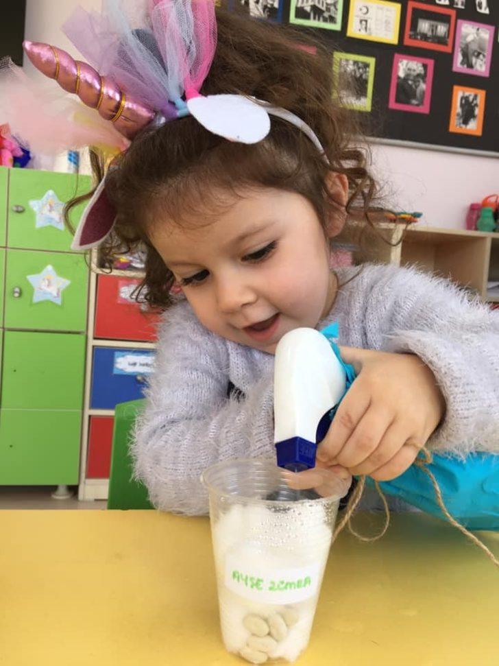 Bitkilerin yaşam döngüsünü öğrendiler G3