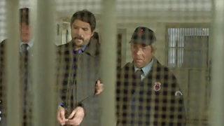 Yılanların Öcü 27. Bölüm Fragmanı