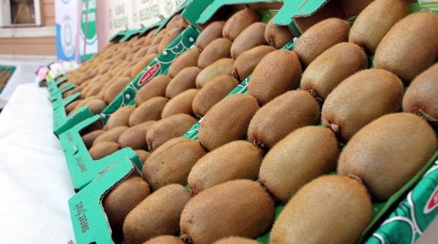 Kiviye korona vir&uuml;s&uuml; darbesi