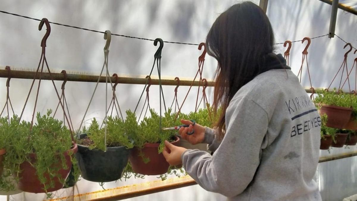Kırıkkale&rsquo;de park ve yeşil alanlarda yaz bakımı