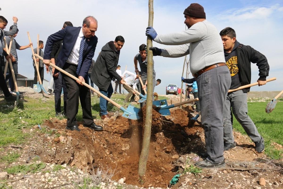 Ak&ccedil;akale&rsquo;de yeşillendirme &ccedil;alışmaları