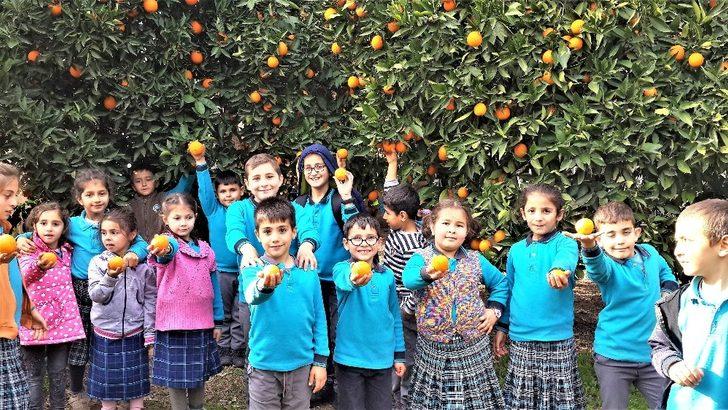 Portakalla kurulan kardeşlik köprüsü Şırnak’a ulaştı G1