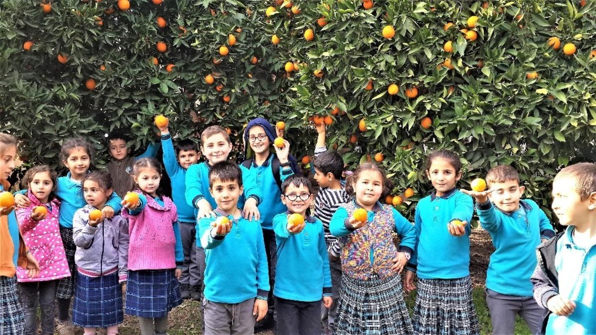 Portakalla kurulan kardeşlik k&ouml;pr&uuml;s&uuml; Şırnak&rsquo;a ulaştı