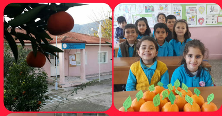 Portakalla kurulan kardeşlik köprüsü Şırnak’a ulaştı G3