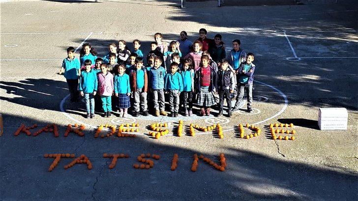 Portakalla kurulan kardeşlik köprüsü Şırnak’a ulaştı G5