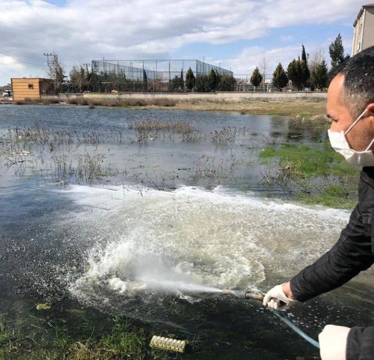 Haşere ilaçlamaları başladı G1