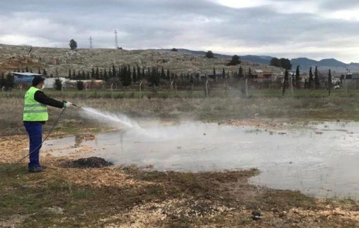 Haşere ilaçlamaları başladı G3