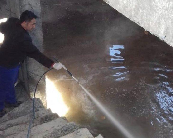 Haşere ilaçlamaları başladı G4