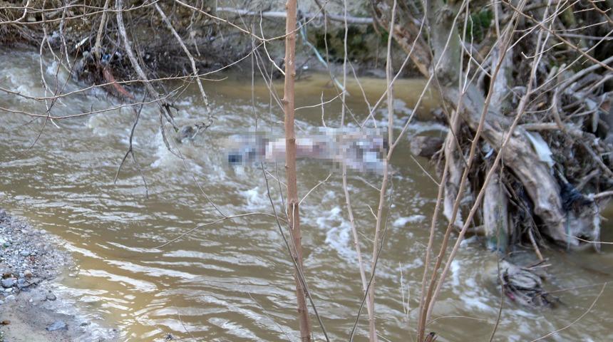 Acı haber! 17 gündür aranıyordu...