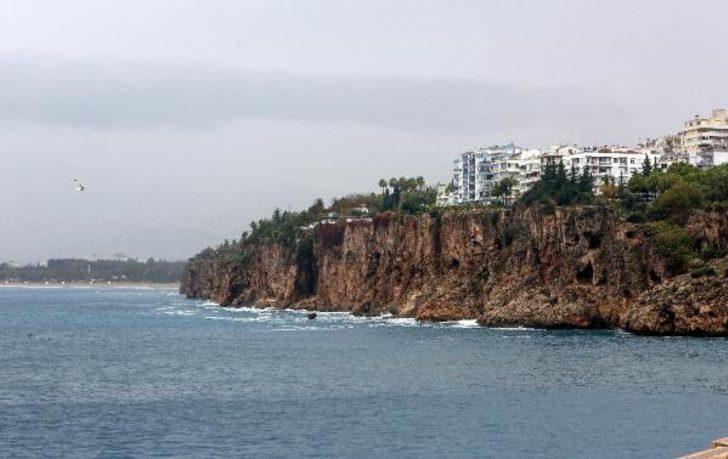 SAD-AFAG Koordinasyon Kurulu Başkanı'ndan Akdeniz foku uyarısı!  G1