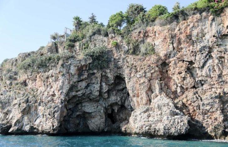 SAD-AFAG Koordinasyon Kurulu Başkanı'ndan Akdeniz foku uyarısı!  G2