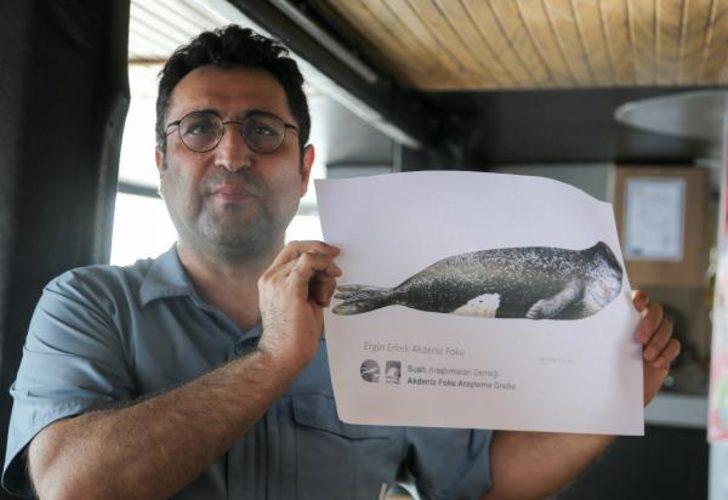 SAD-AFAG Koordinasyon Kurulu Başkanı'ndan Akdeniz foku uyarısı!  G4