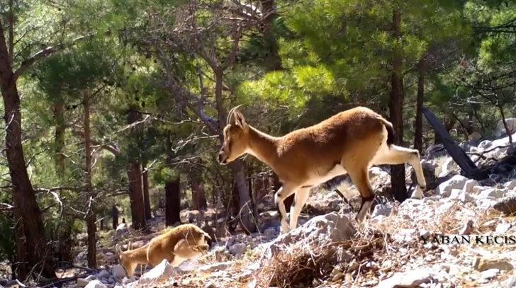 Antalya'nın görünmeyen yüzü G1