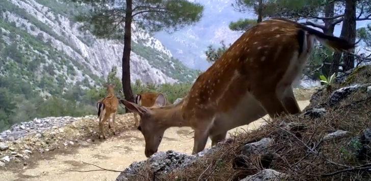 Antalya'nın görünmeyen yüzü G4