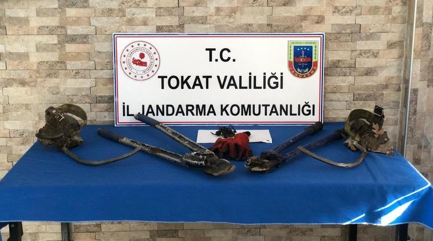 Direklere tırmanıp çaldılar