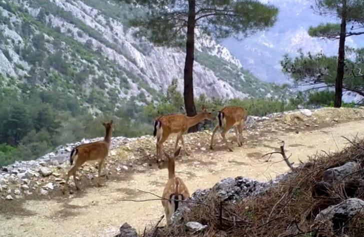 Antalya'nın görünmeyen yüzü G5