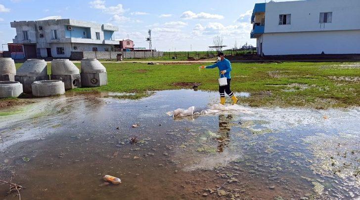 Mardin’de ilaçlama çalışmaları başladı G1