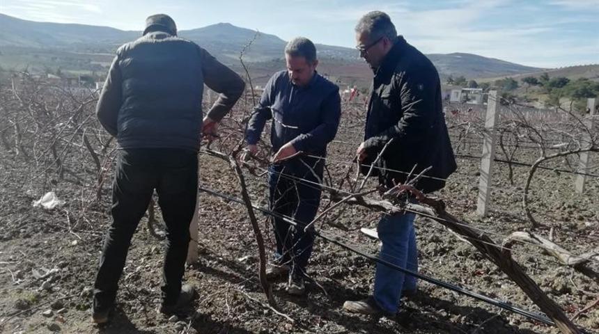 Kilis’te çiftçilere bağ budama teknikleri eğitimi