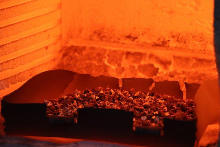 Vermikütil madenini dünyadan alıyorduk artık dünyaya satıyoruz, ısınınca 10 kat büyüyor G1