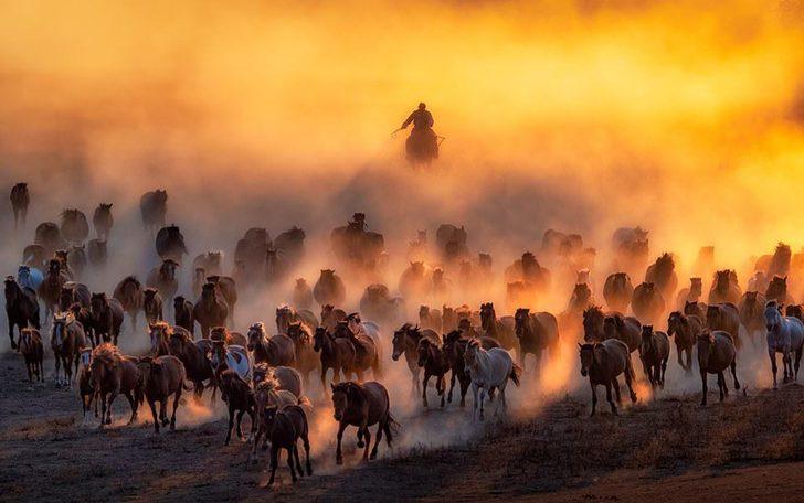 İşte 2020 Sony Dünya Fotoğraf Yarışması’nın kazanan kareleri G2