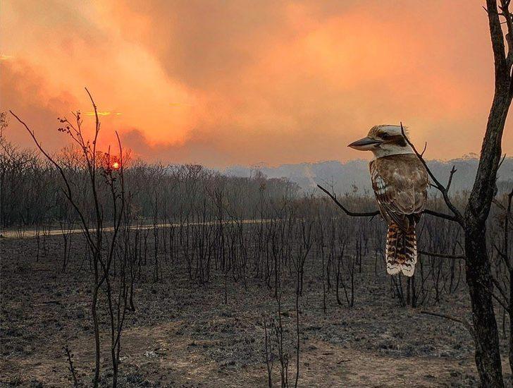 İşte 2020 Sony Dünya Fotoğraf Yarışması’nın kazanan kareleri G3