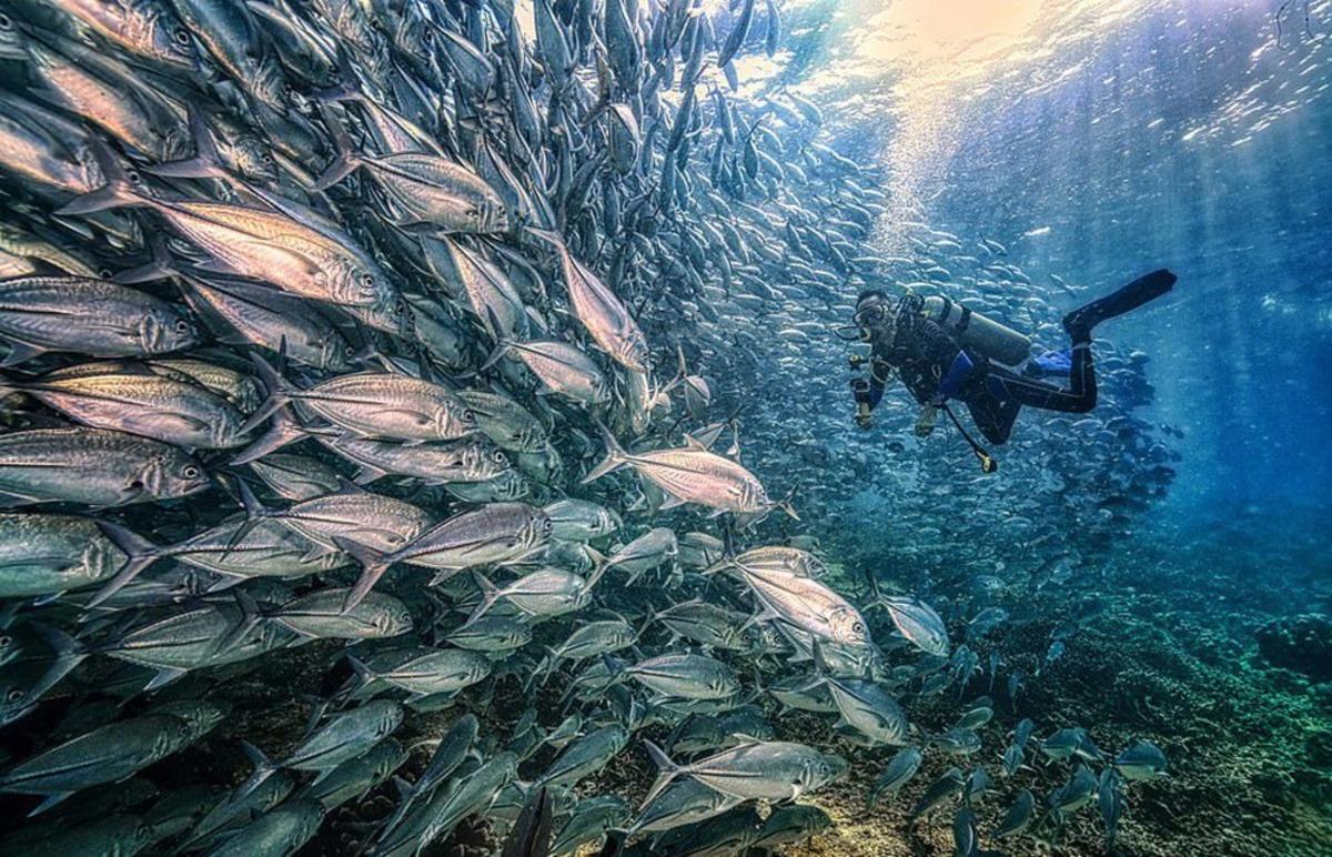 İşte 2020 Sony D&uuml;nya Fotoğraf Yarışması&rsquo;nın kazanan kareleri