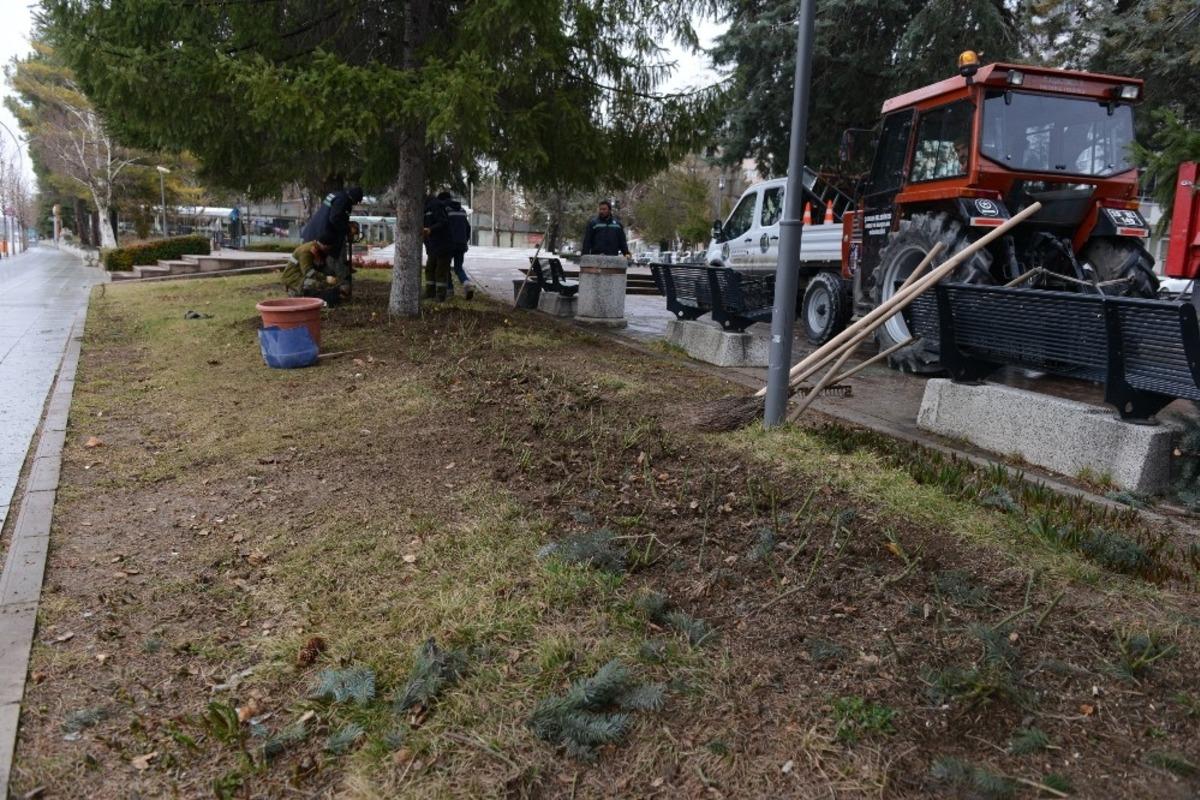 &Ccedil;orum belediyesi 4 bin 500 g&uuml;l fidesi dikti