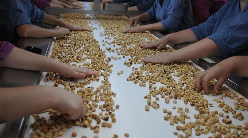 Türkiye'den 6 ayda 1,4 milyon dolarlık fındık ihracatı yapıldı
