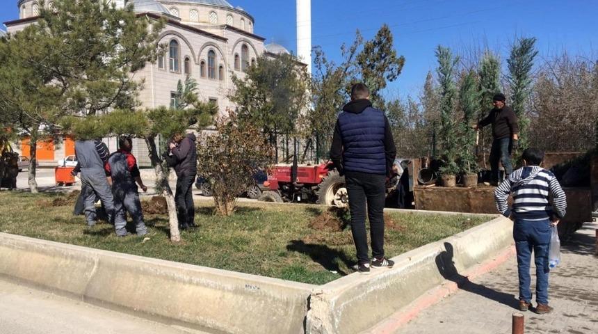 Yerköy’de ağaçlandırma çalışmaları devam ediyor