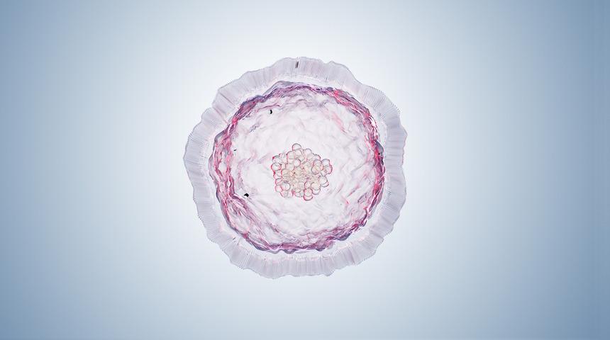 Koronavirüs belirtileri neler? Koronavirüsün ismi nereden geliyor?