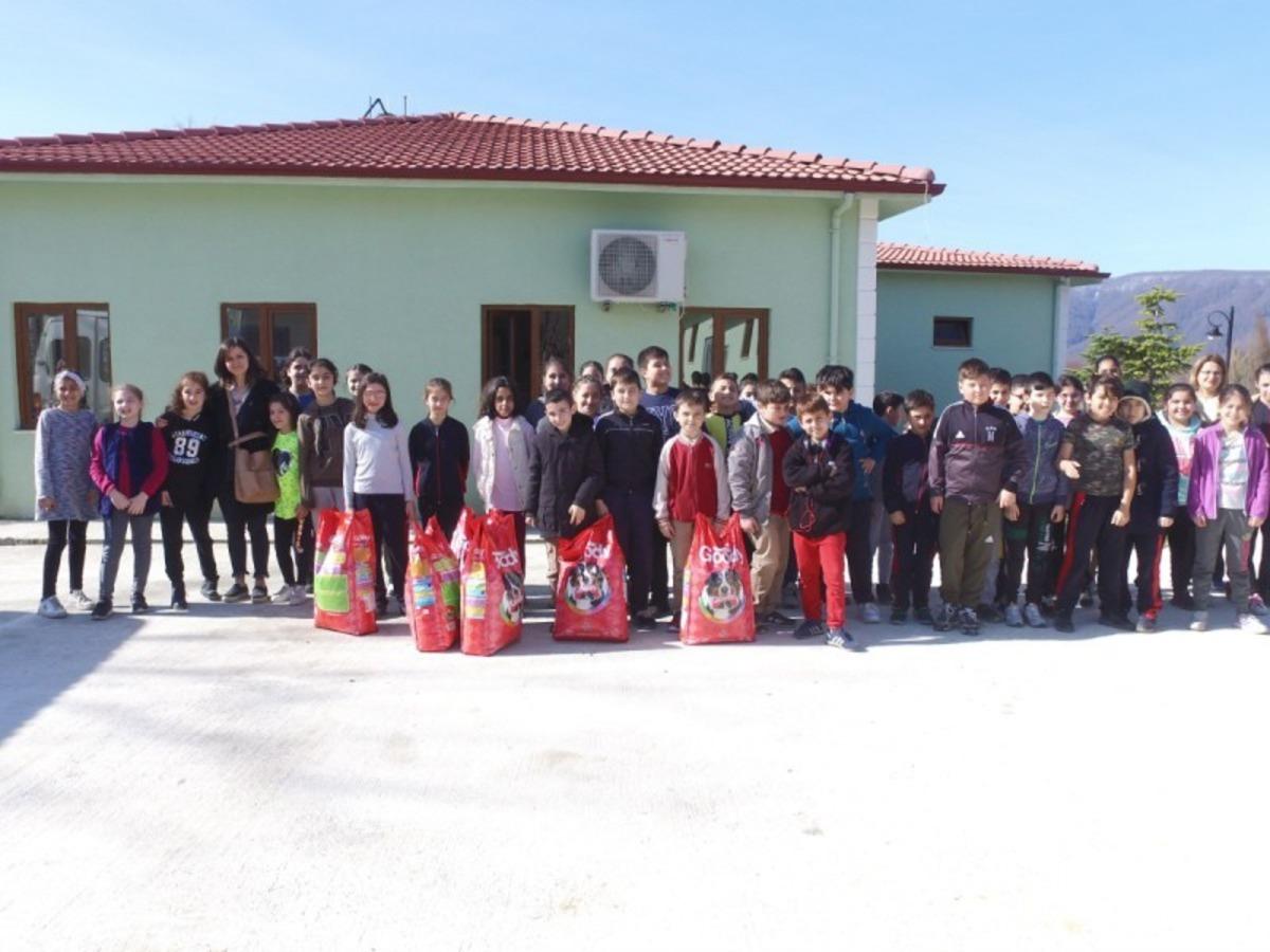 Sokak hayvanlarına ziyaretler s&uuml;r&uuml;yor