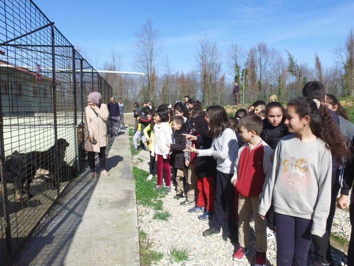 Sokak hayvanlarına ziyaretler sürüyor G4