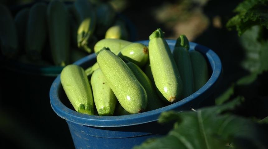 Erzincan, Bayburt ve Erzurum&rsquo;da kabak zam şampiyonu