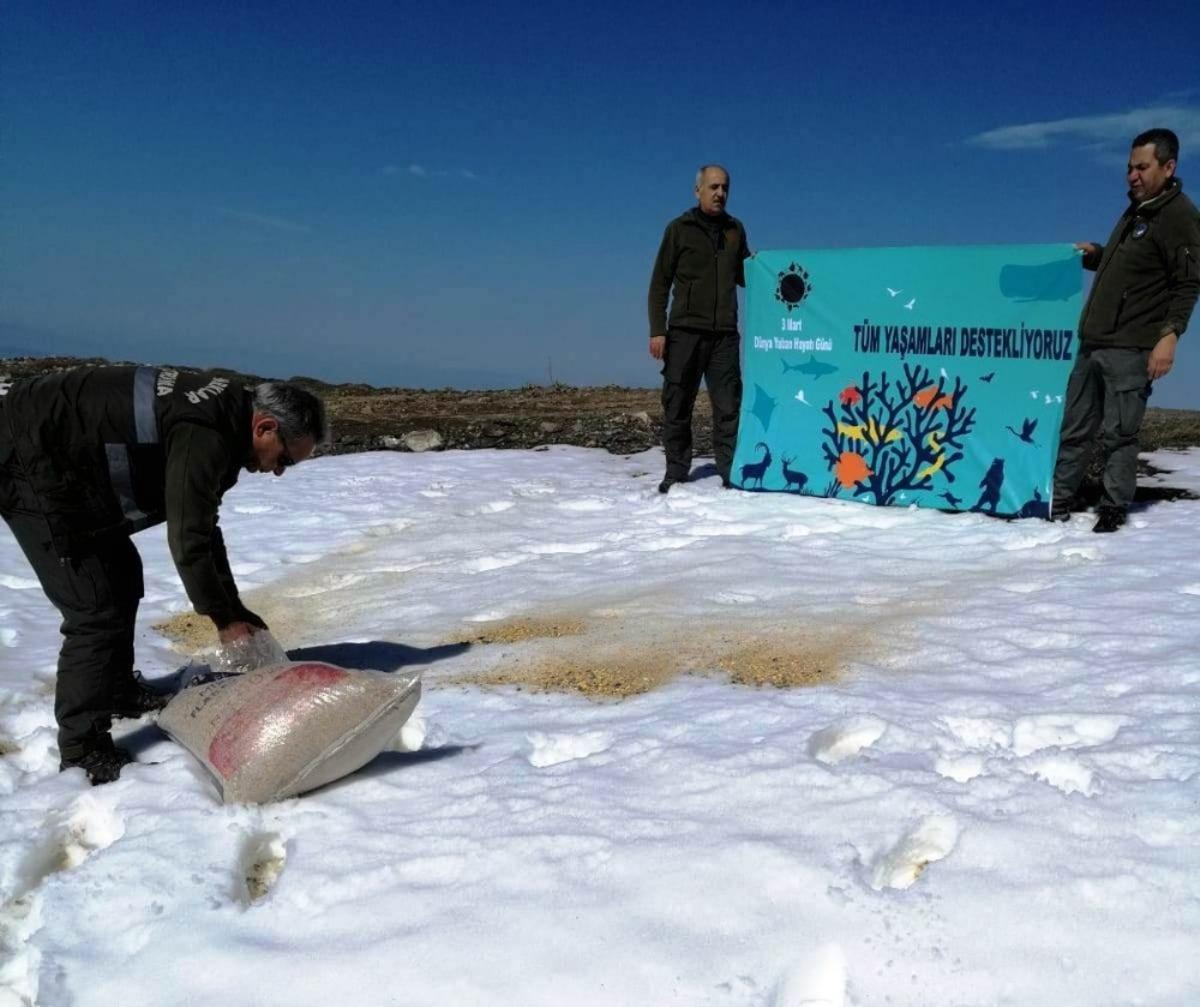 Aydın&rsquo;da yaban hayatı emin ellerde