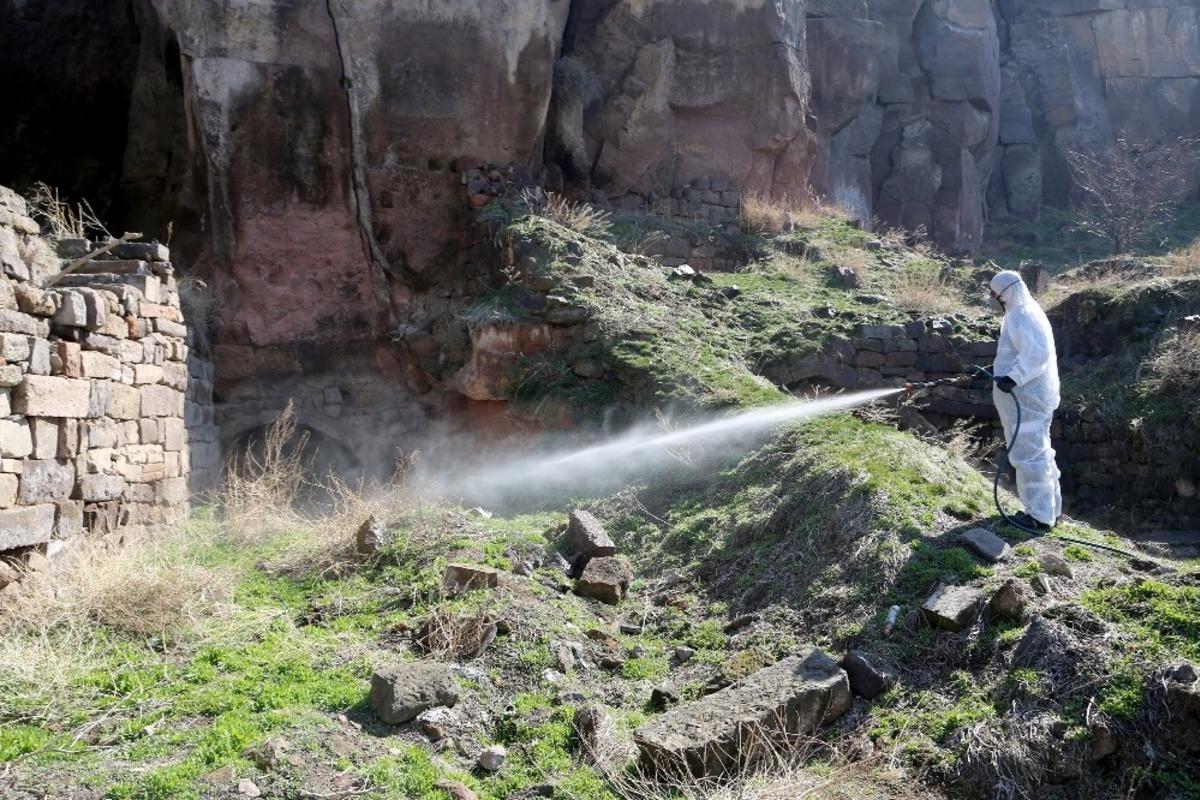 Sivrisineklere erken &ouml;nlem