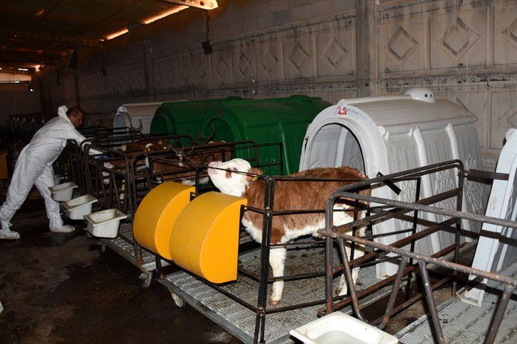 Aksaray süt üretiminde markalaşmak istiyor G4