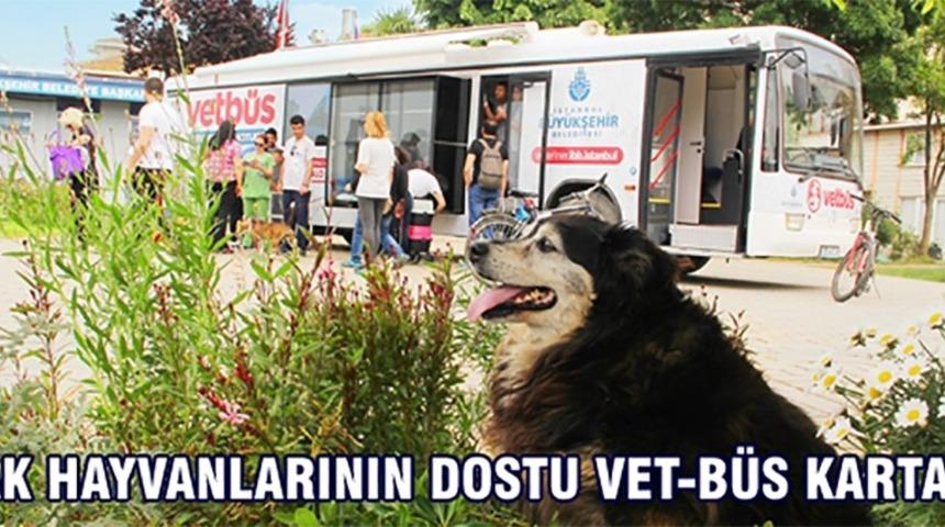 Sokak hayvanlarının dostu VET-B&Uuml;S Kartal&rsquo;da